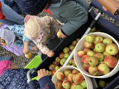 01.10.2025 Viel Spaß beim Apfelpressen 