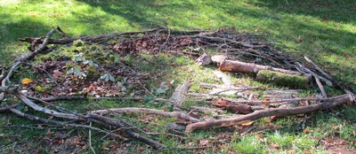 21.05.21 Ab in den Wald