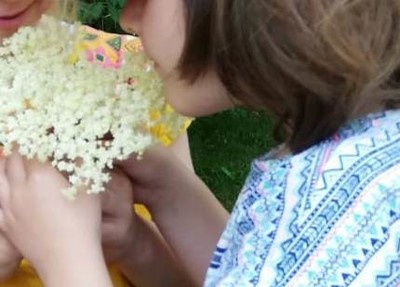 05.06.2019 Unser Holunder blüht 