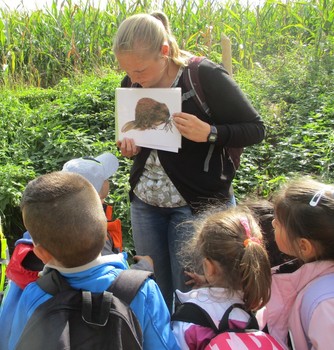 23.09. + 24.09.2019 Mit der Rangerin auf den Spuren des Bibers