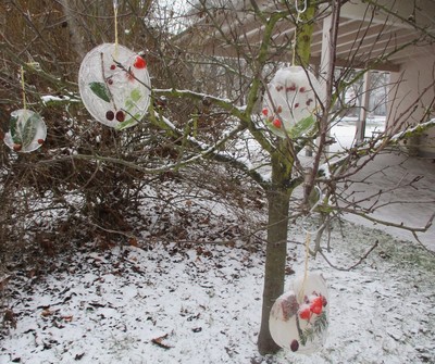 15.01.2021 Wenn es friert und schneit - Alles rund ums Thema Schnee
