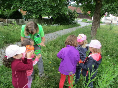 05.07.2021 Kinder erkunden die Vielfalt einer Wiese