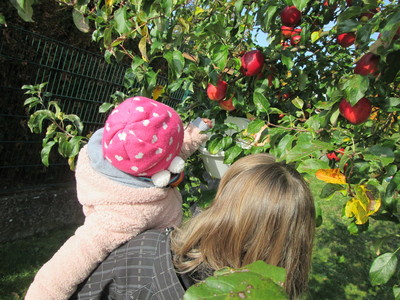 22.10.20   Apfel und Apfelbaum - Erleben mit allen Sinnen