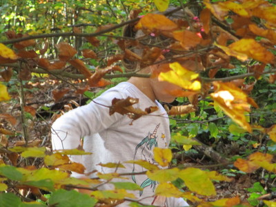 15.10.2019 Dem Herbst auf der Spur