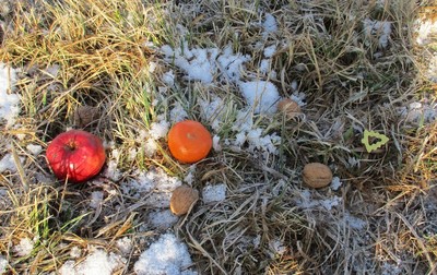 04.12.2020 Nikolausbesuch im Wald