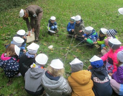 24. + 25.10.2024 Naturtage mit der Rangerin - " Die Pilze in unserem Wald" 