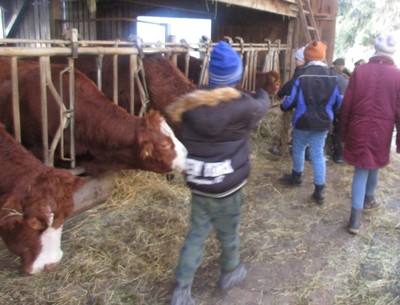 18.01.2019 Hortkinder waren zu Gast auf den Erlebnisbauernhof 