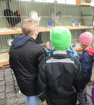 06.03.2019 Taubenmarkt