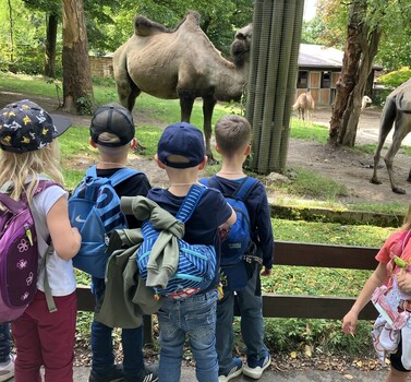 Übernachten der Vorschulkinder